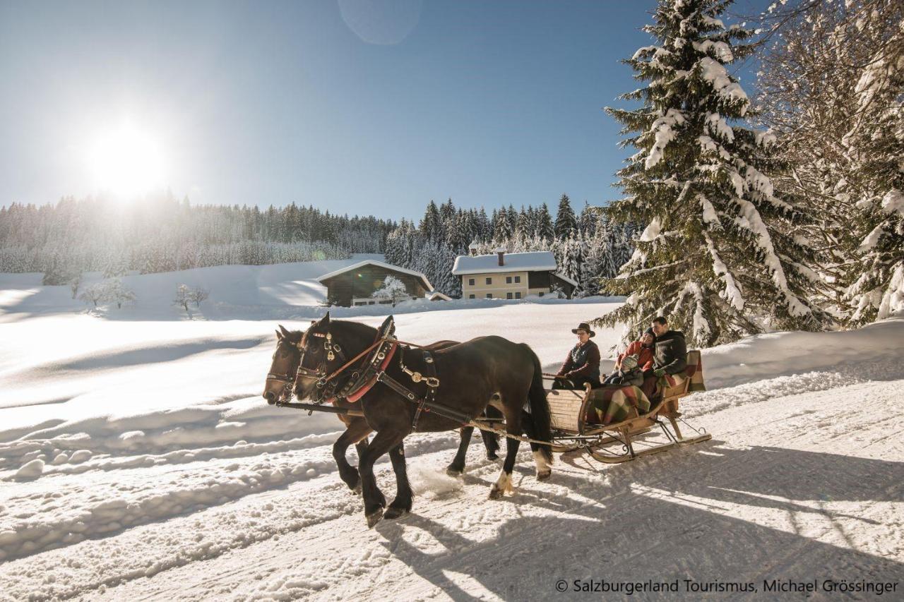 Hideaway Dachstein West By Alps Resorts Sankt Martin am Tennengebirge Exterior photo